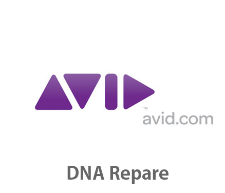 Avid DNA有償修理交換