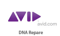 Avid DNA有償修理交換